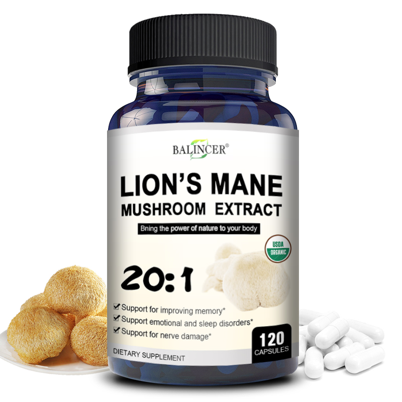 Lion Mane Mushroom - Lion's Mane – Nootropic Brain Memory