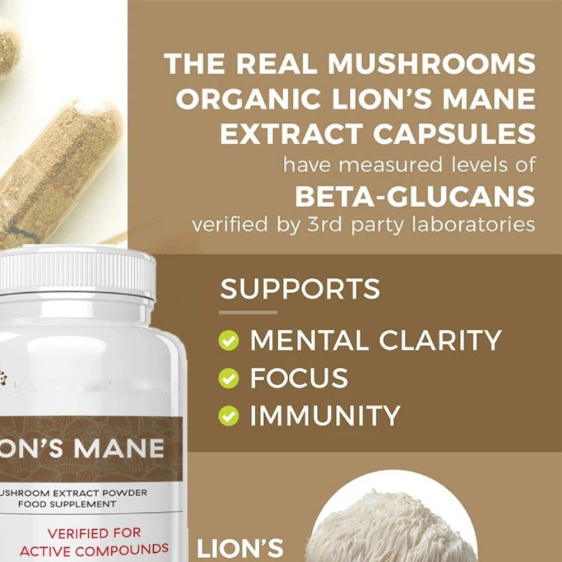 Lion Mane Mushroom - Lion Mane Ganoderma Pilzkapseln verbessern die