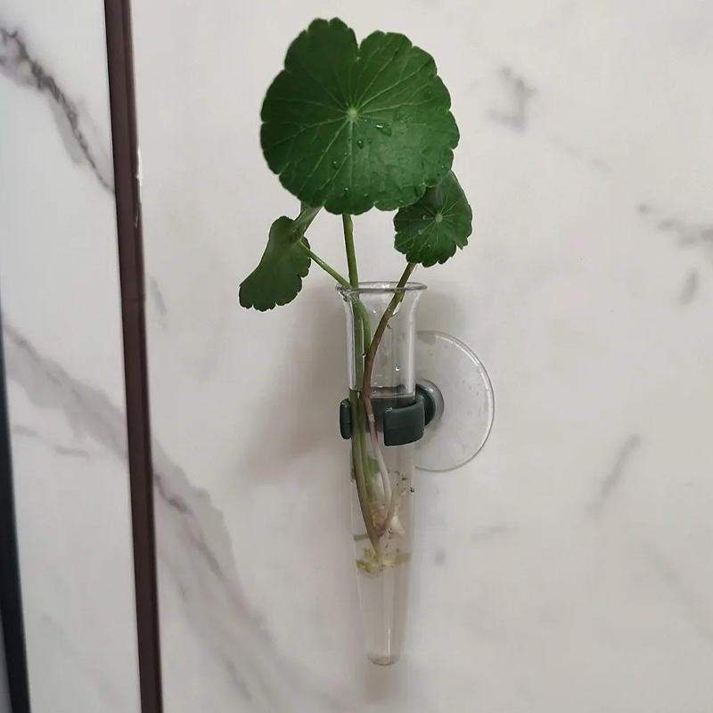 11cm Blumen-Wasserröhrchen Kun – Nutrition & Fitness Class Bewertung und Preis