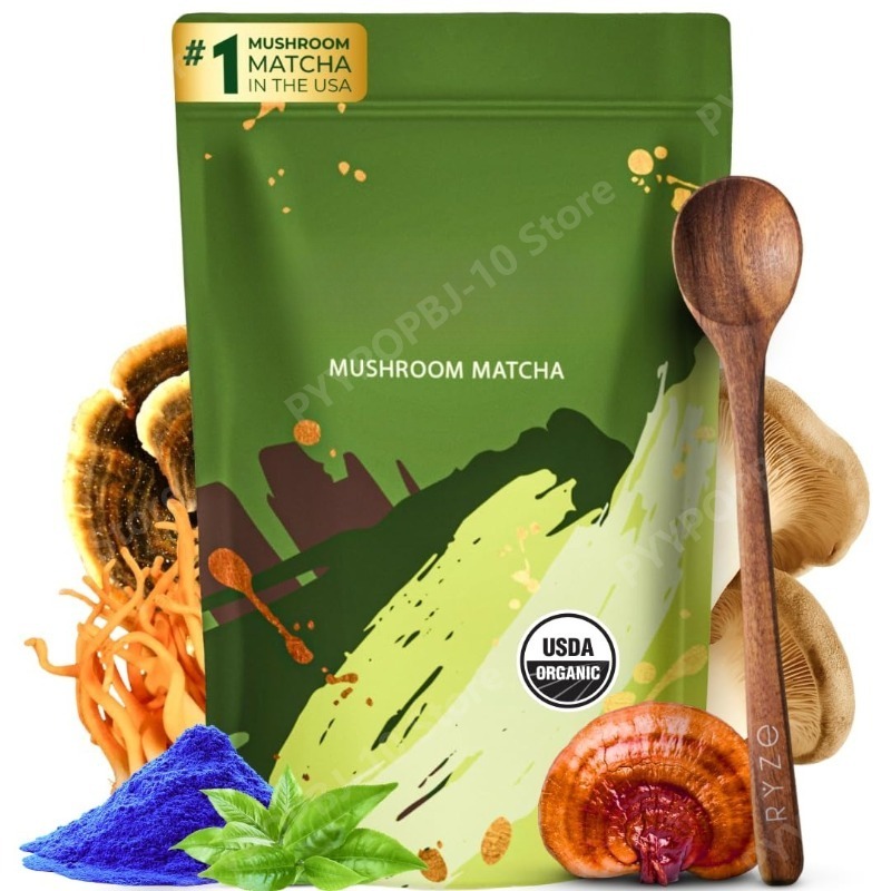 Bio-Pilz-Matcha-Ergänzungsmitt – Lion Mane Mushroom Bewertung und Preis