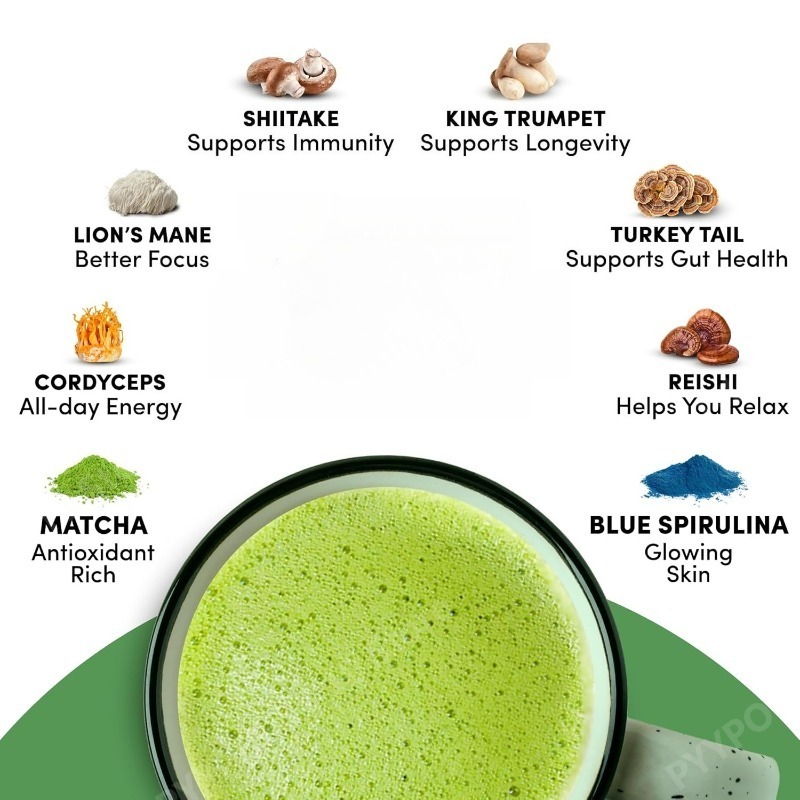 Bio-Pilz-Matcha-Ergänzungsmitt – Lion Mane Mushroom Bewertung und Preis