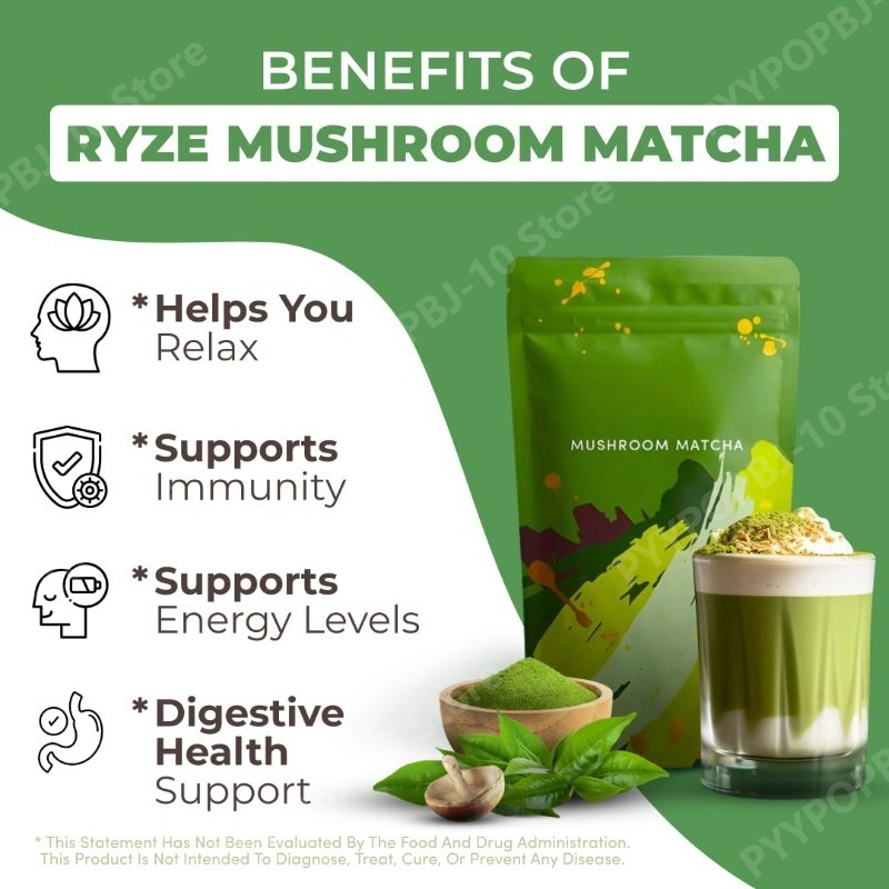 Bio-Pilz-Matcha-Ergänzungsmitt – Lion Mane Mushroom Bewertung und Preis