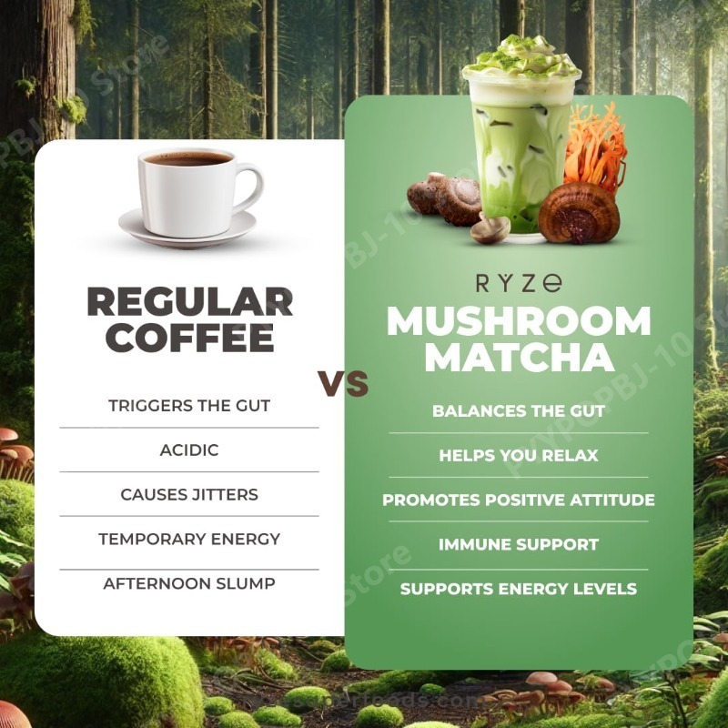 Bio-Pilz-Matcha-Ergänzungsmitt – Lion Mane Mushroom Bewertung und Preis