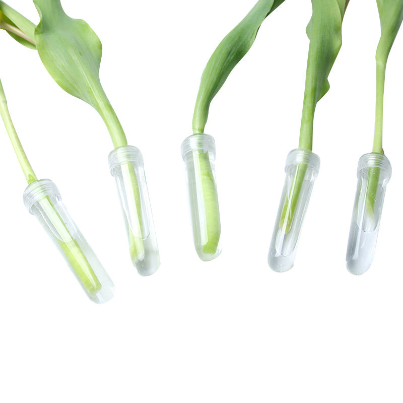20Pcs Kunststoff Frische Blume – Nutrition & Fitness Class Bewertung und Preis