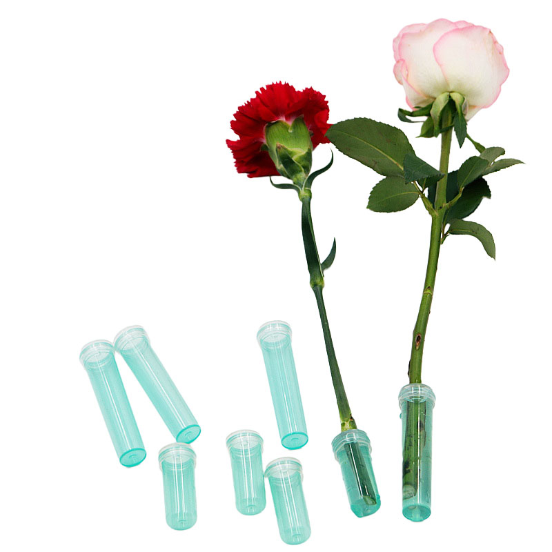 20Pcs Kunststoff Frische Blume – Nutrition & Fitness Class Bewertung und Preis