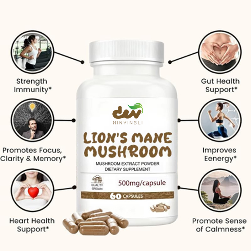 Löwenmähnen-Pilzextrakt-Kapsel – Lion Mane Mushroom Bewertung und Preis
