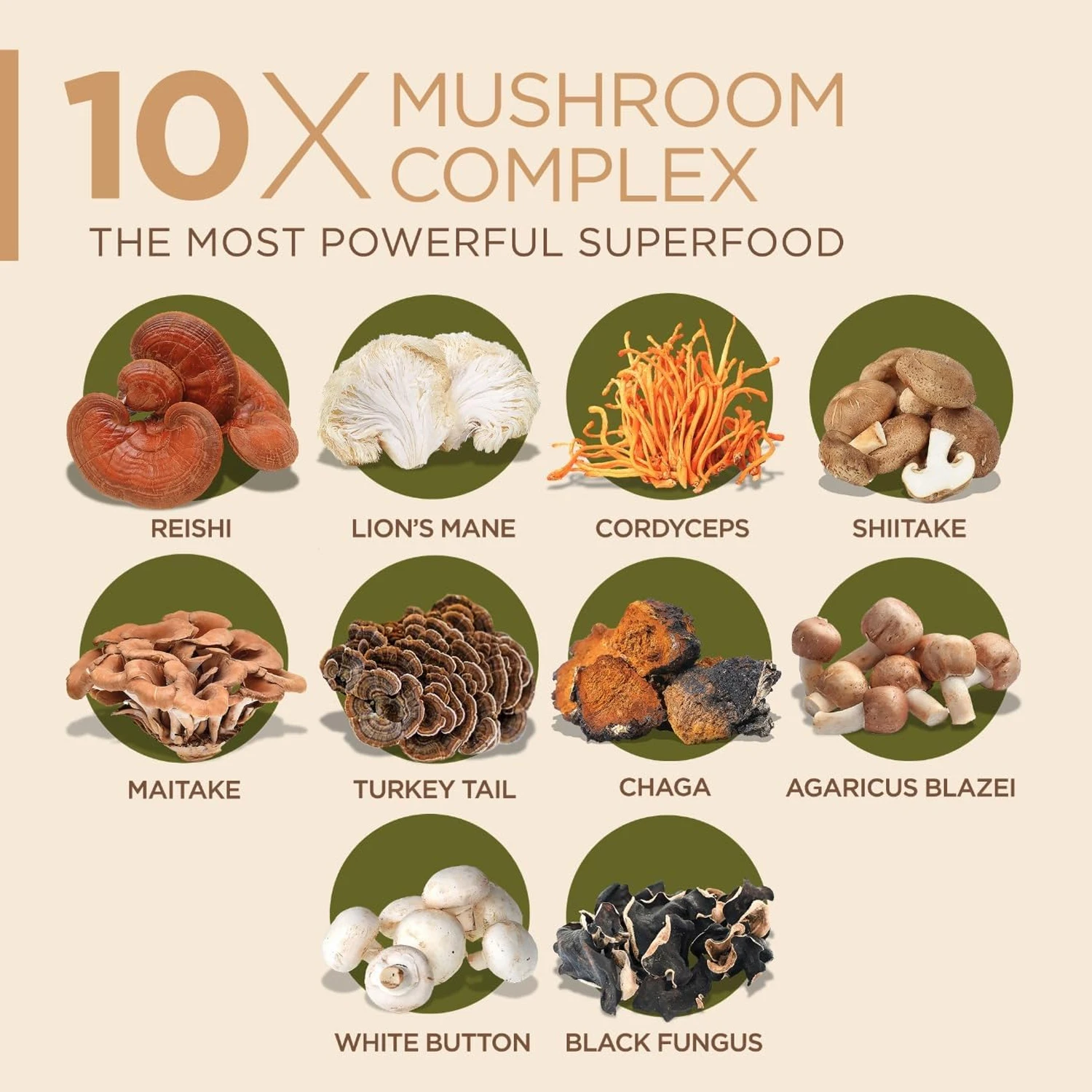 10x Pilzkomplex-Kapseln mit Lö – Lion Mane Mushroom Bewertung und Preis