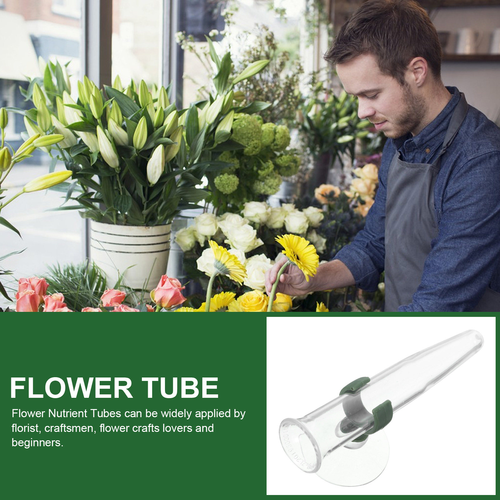 8 Stück Blumen-Nährstoffröhrch – Nutrition & Fitness Class Bewertung und Preis