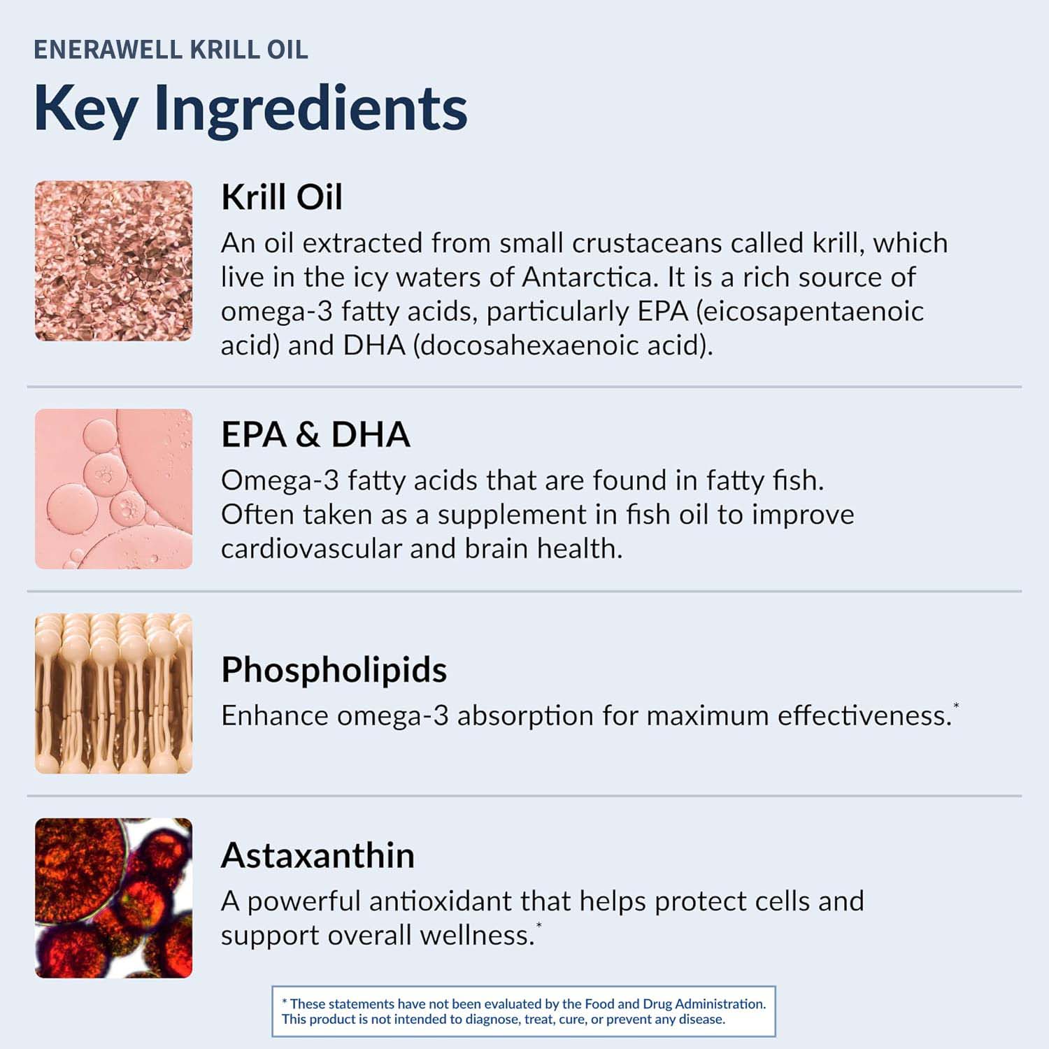 Antarktisches Krillöl 1000 mg  – Krill Oil Supplement Bewertung und Preis