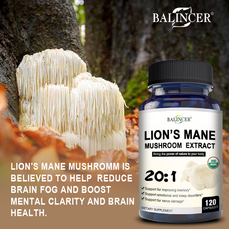 Lion's Mane – Nootropic Brain  – Lion Mane Mushroom Bewertung und Preis